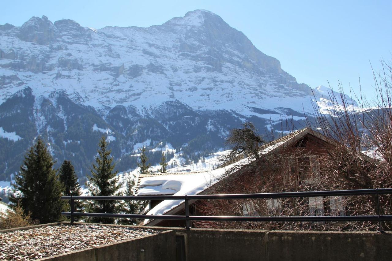 Elements Lodge Grindelwald Exteriér fotografie